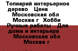 Топиарий интерьерное дерево › Цена ­ 1 000 - Московская обл., Москва г. Хобби. Ручные работы » Для дома и интерьера   . Московская обл.,Москва г.